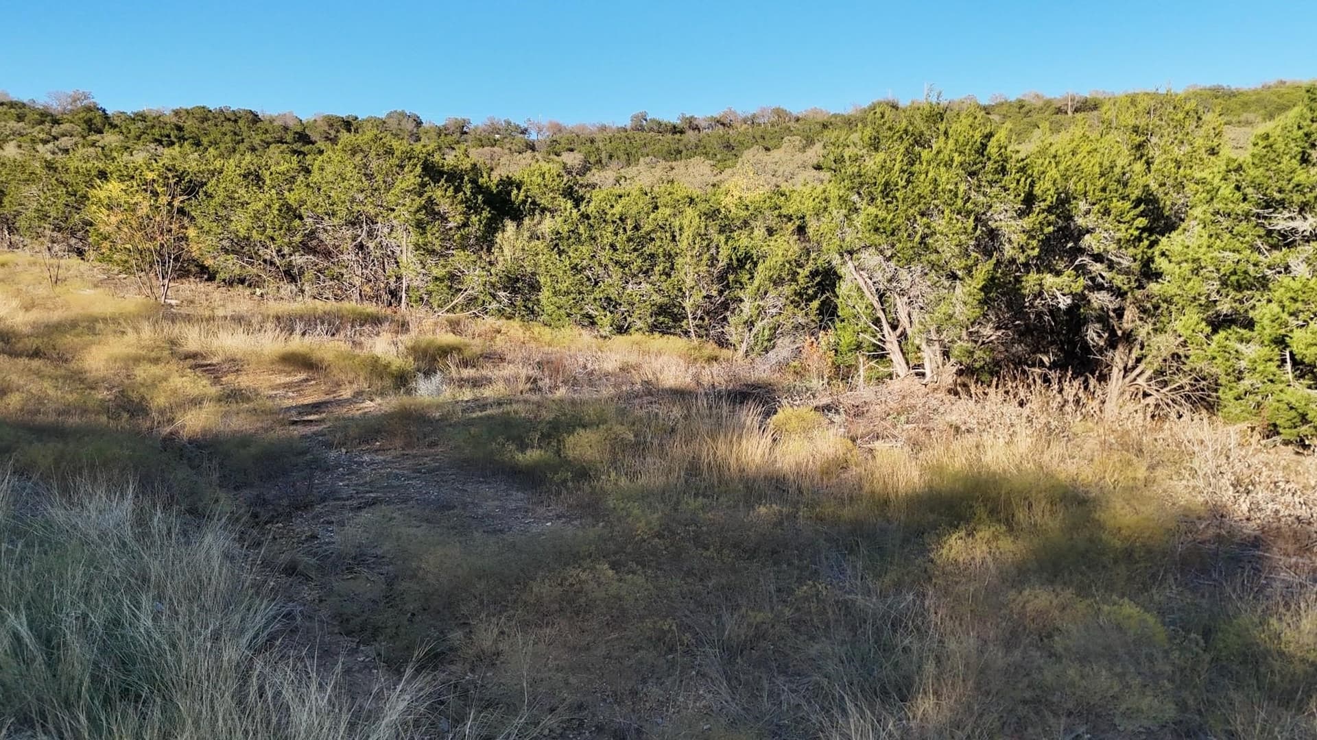 6 acres in Palo Pinto County - photo 9