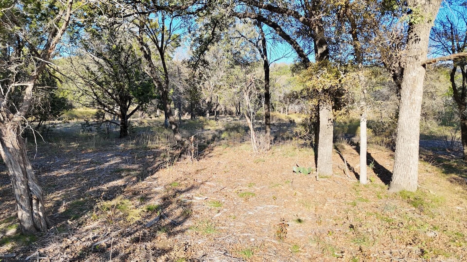 6 acres in Palo Pinto County - photo 3