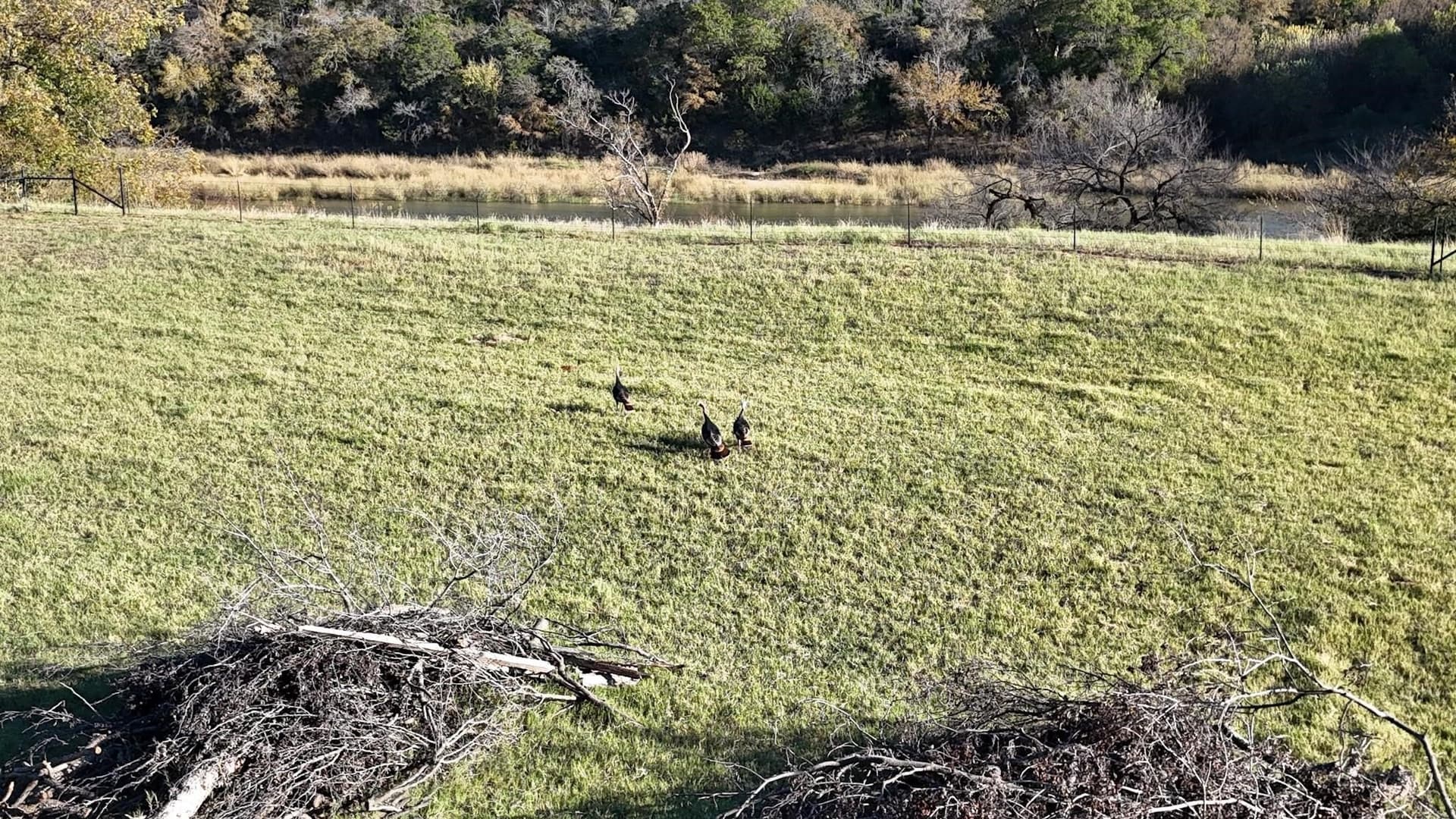 6 acres in Palo Pinto County - photo 6