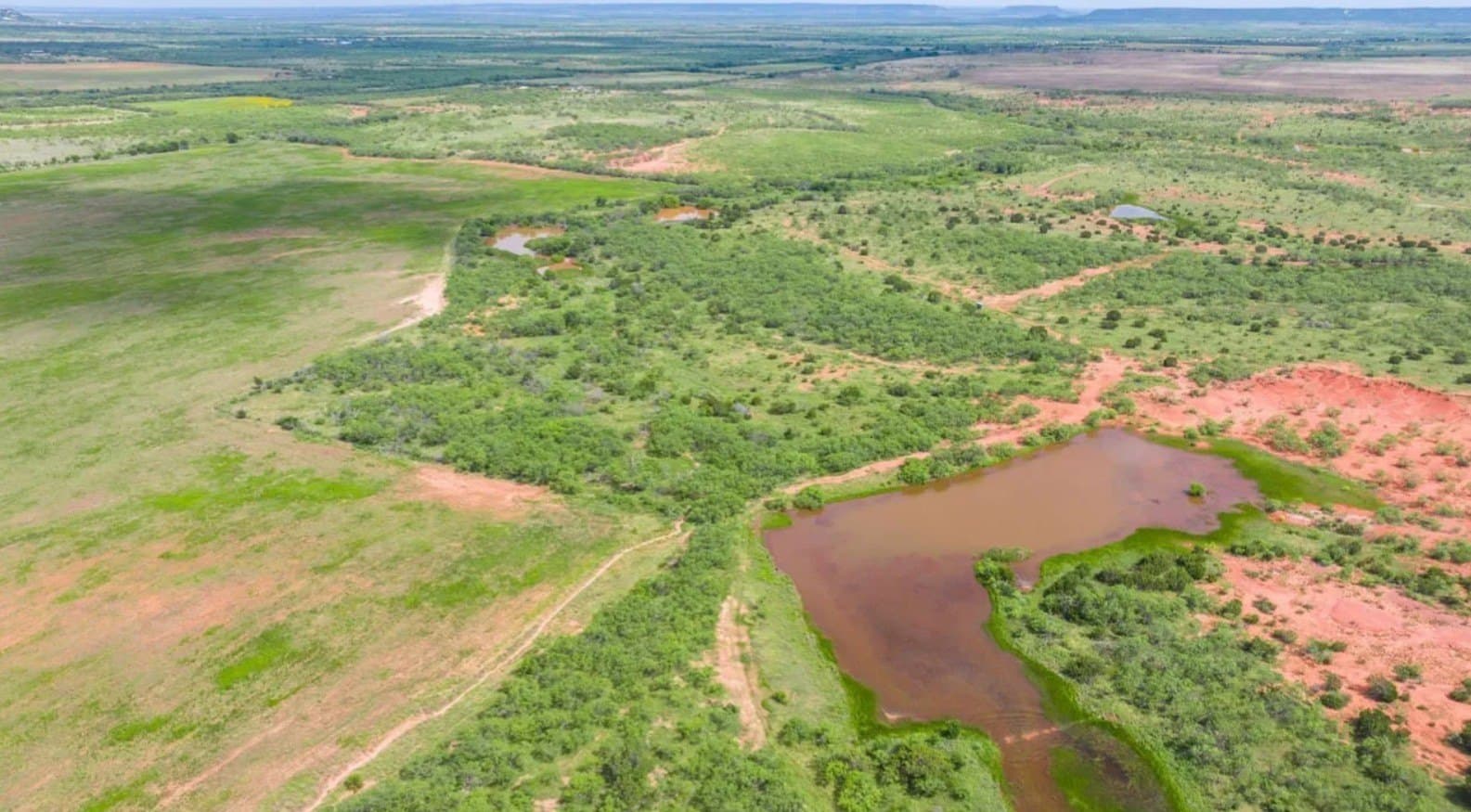 10 acres in Taylor County gallery image 4