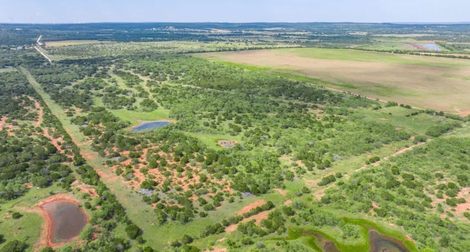 10 acres in Taylor County featured view