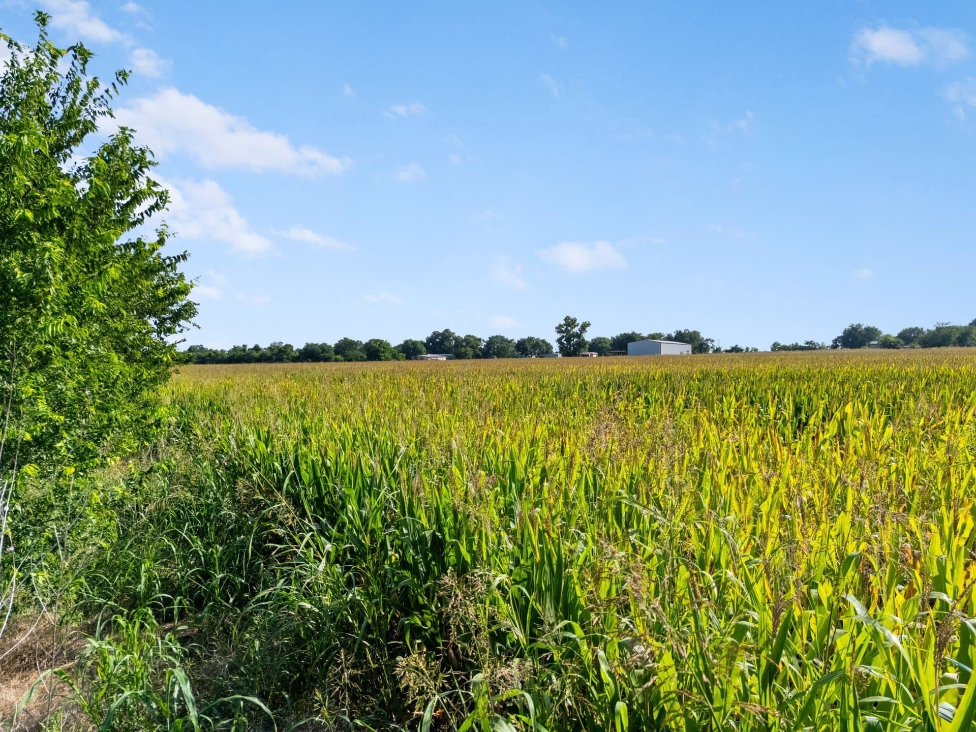 48.91 acres in McLennan County - photo 9