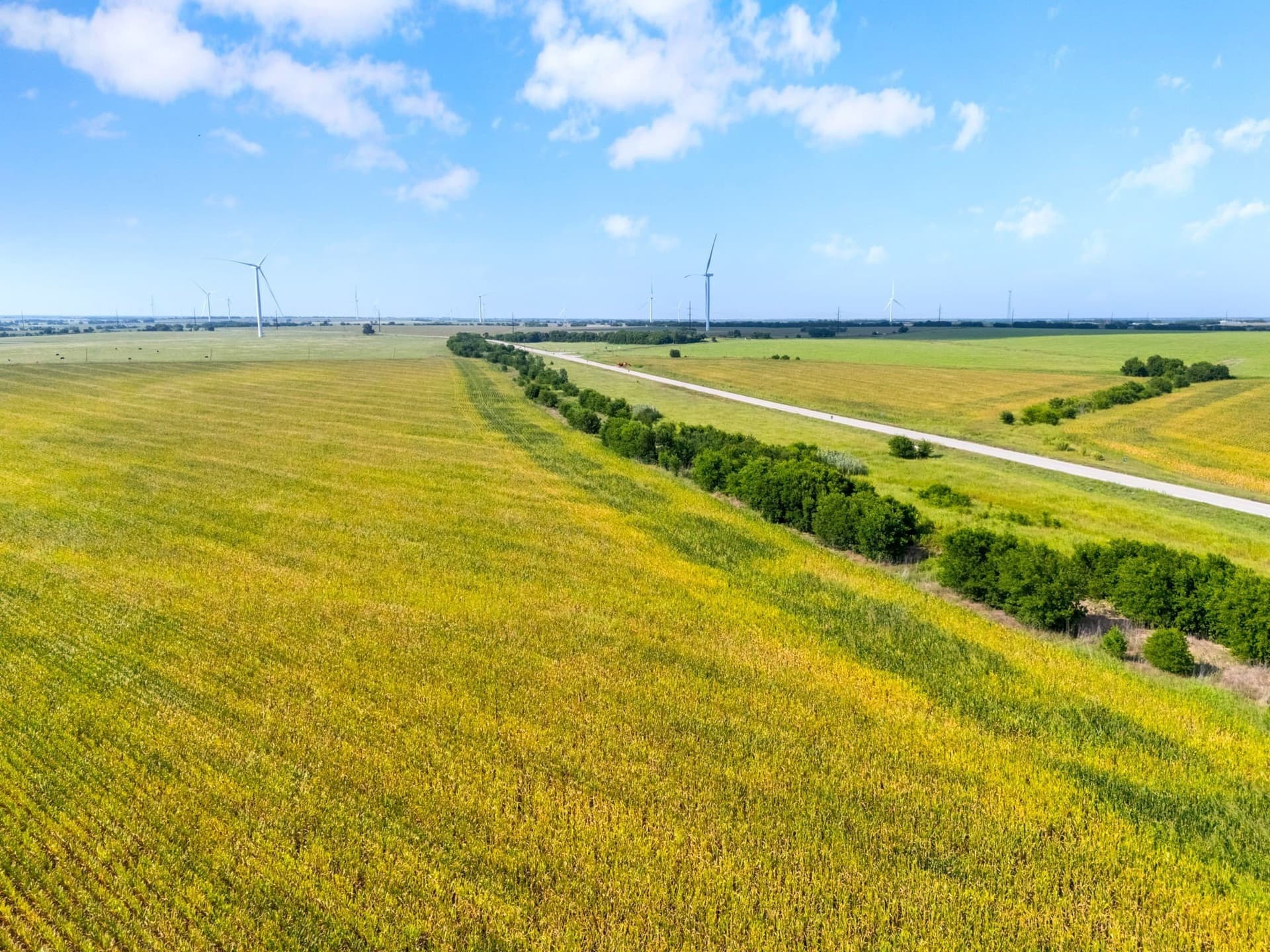 48.91 acres in McLennan County - photo 8