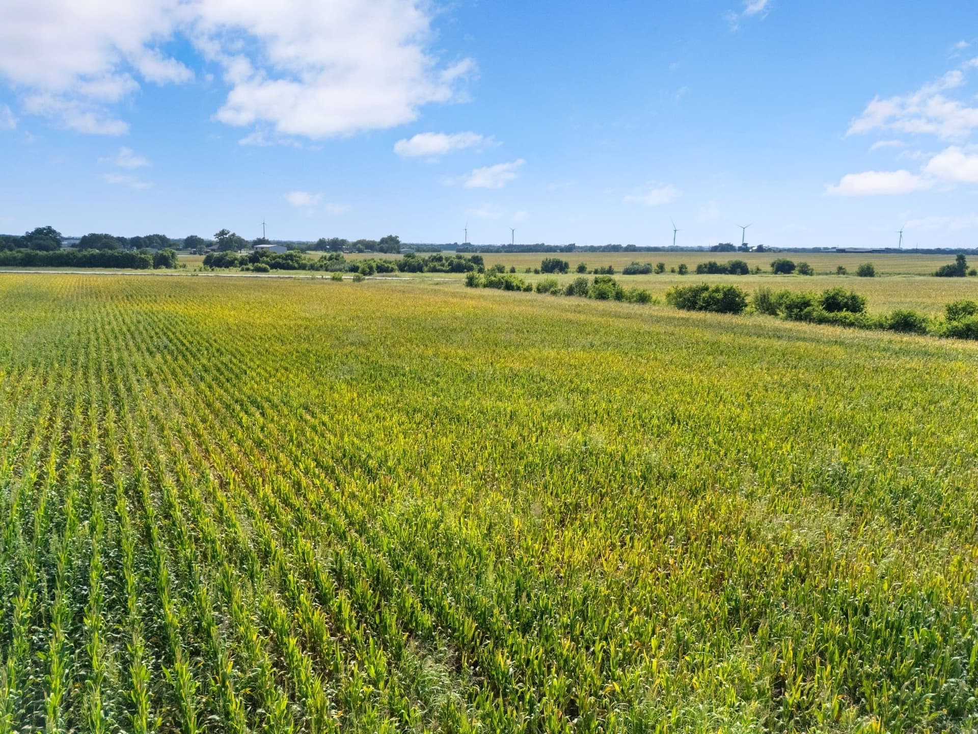 48.91 acres in McLennan County - photo 7