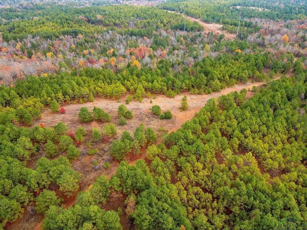 172.21 acres in Morris County - photo 12