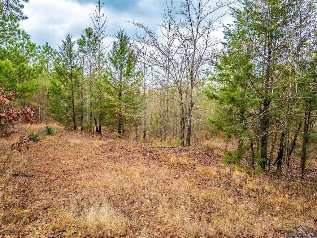 172.21 acres in Morris County - photo 15