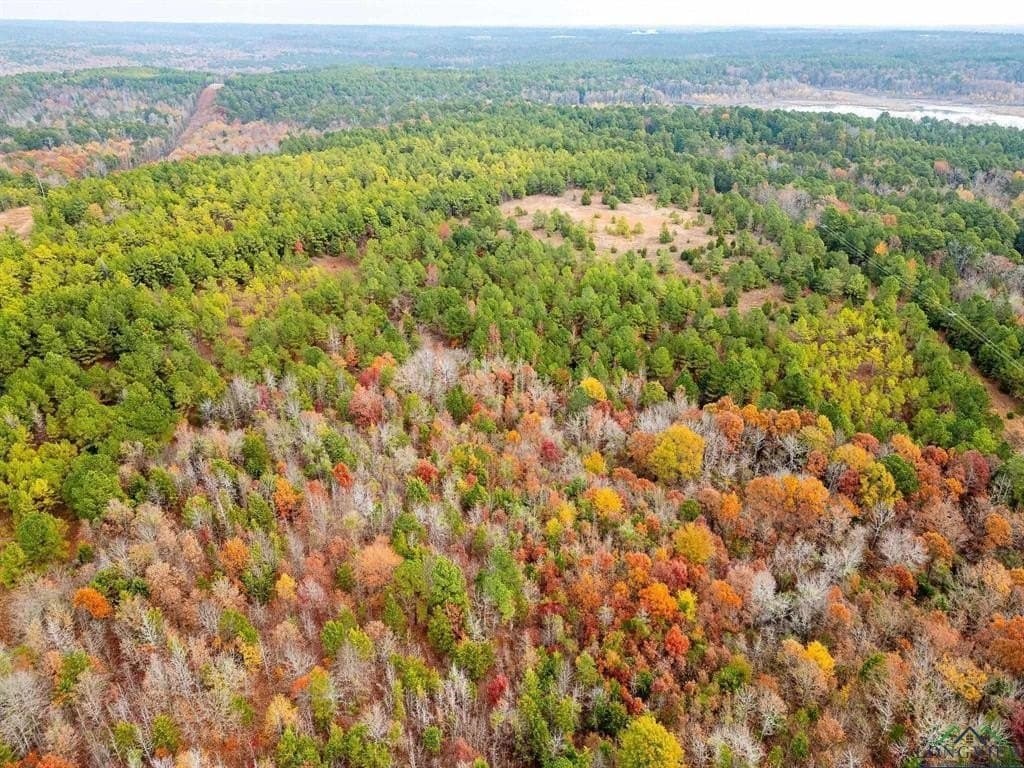 172.21 acres in Morris County - photo 8