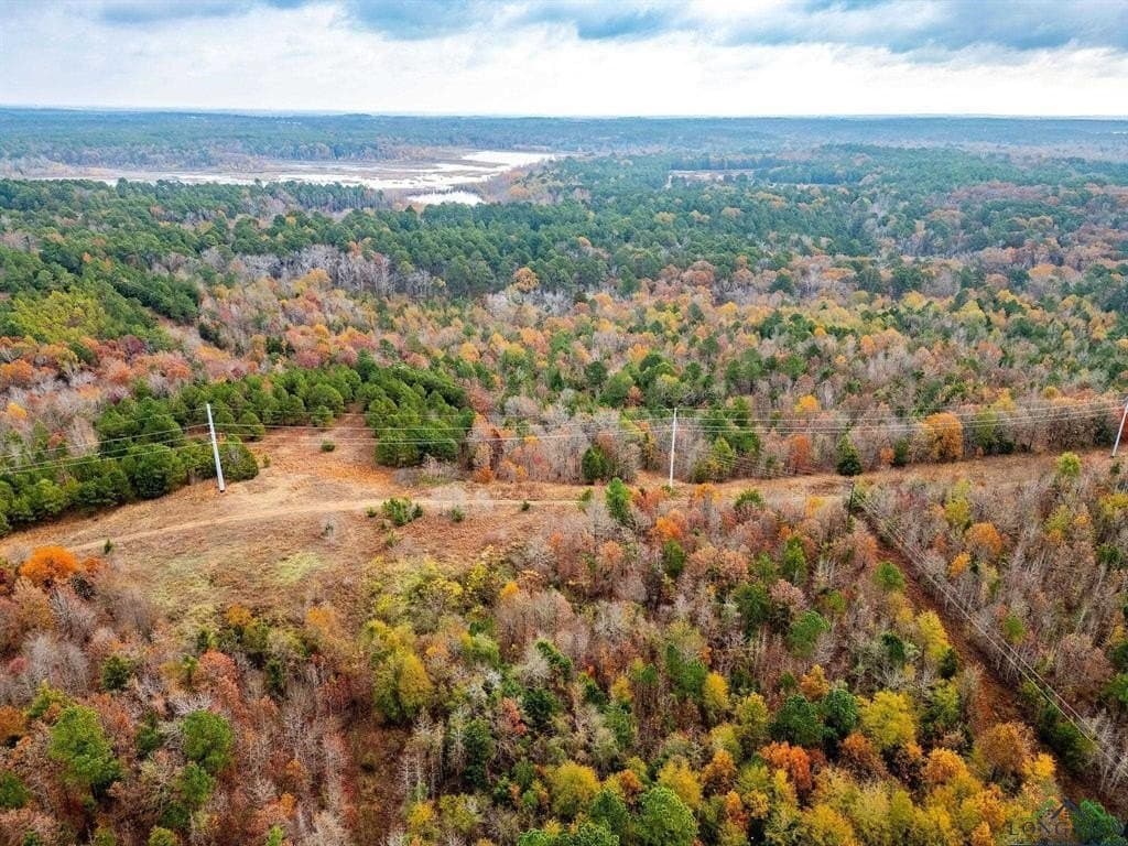 172.21 acres in Morris County - photo 11