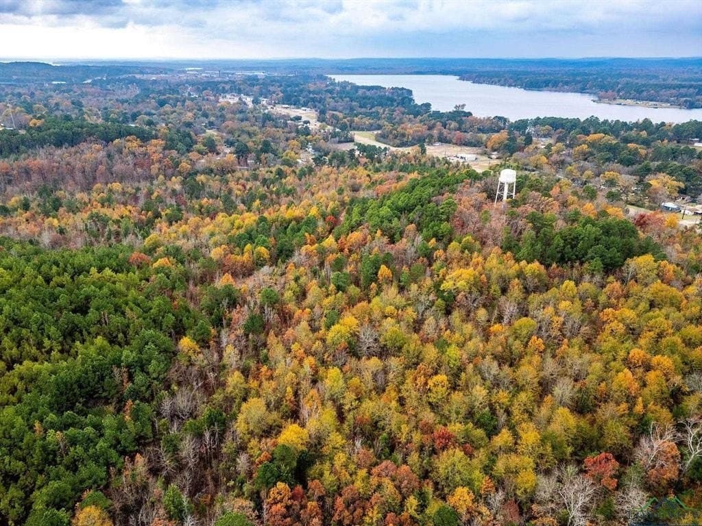 172.21 acres in Morris County - photo 17