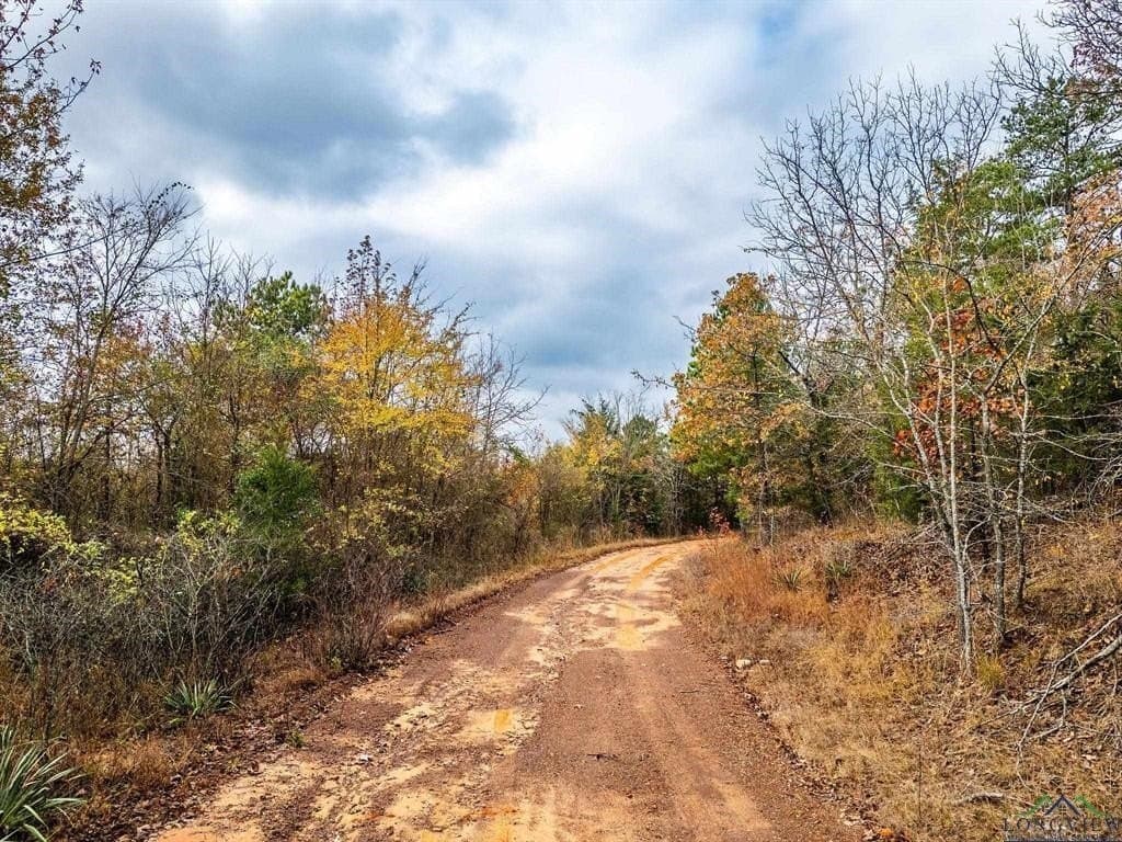 172.21 acres in Morris County gallery image 2
