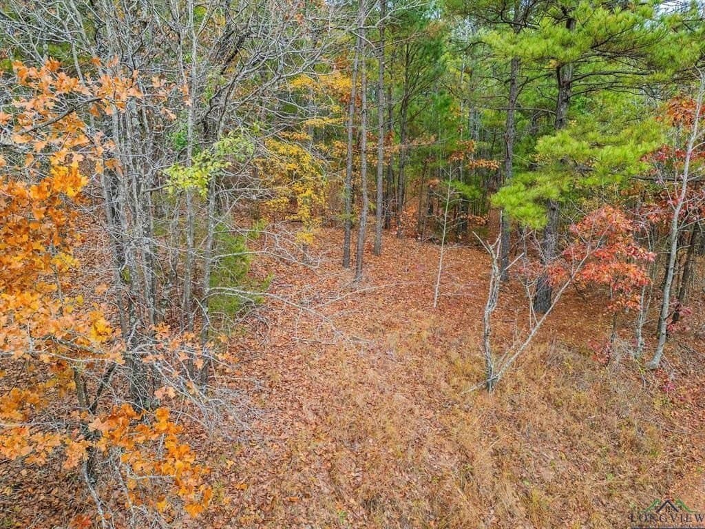 172.21 acres in Morris County gallery image 3