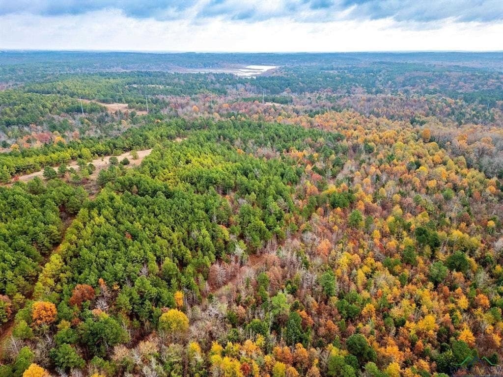 172.21 acres in Morris County - photo 13