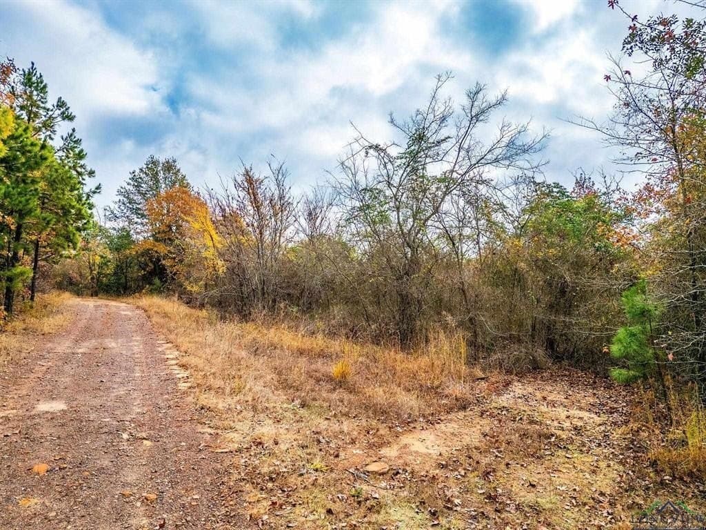 172.21 acres in Morris County - photo 16