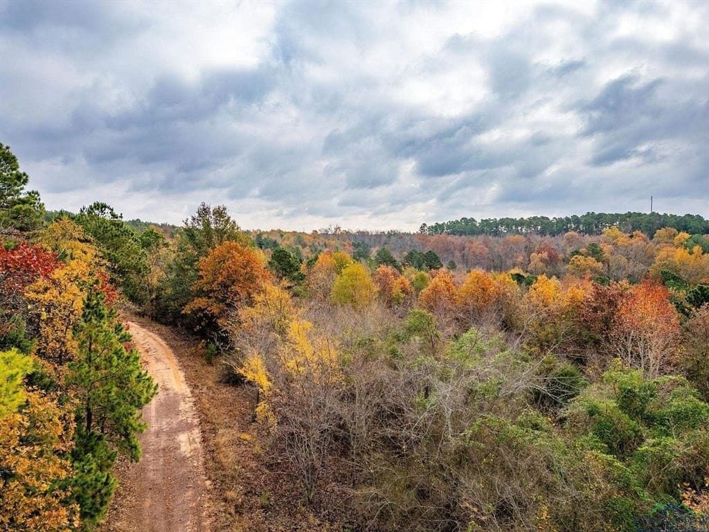 172.21 acres in Morris County - photo 14