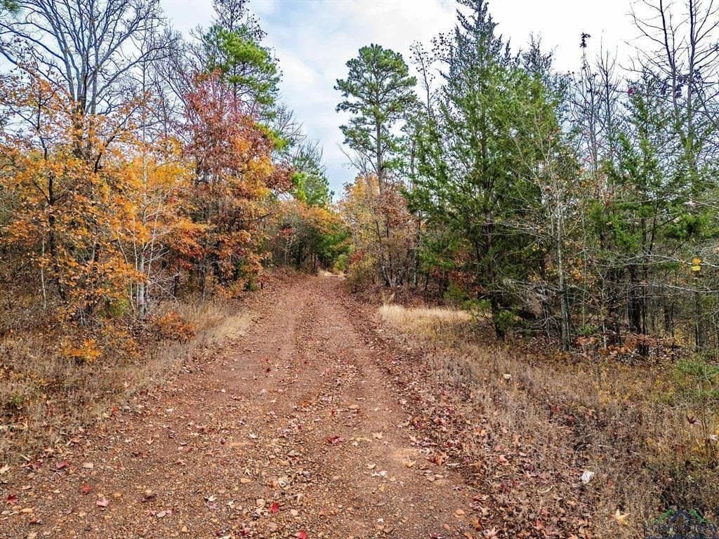 172.21 acres in Morris County - photo 22