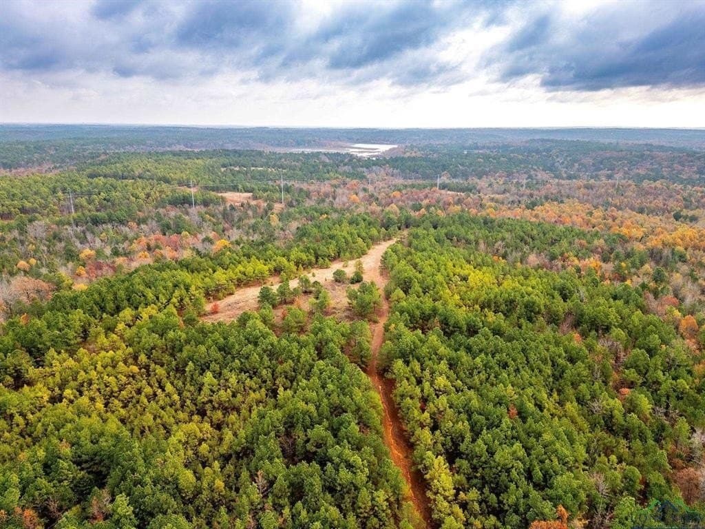 172.21 acres in Morris County - photo 18