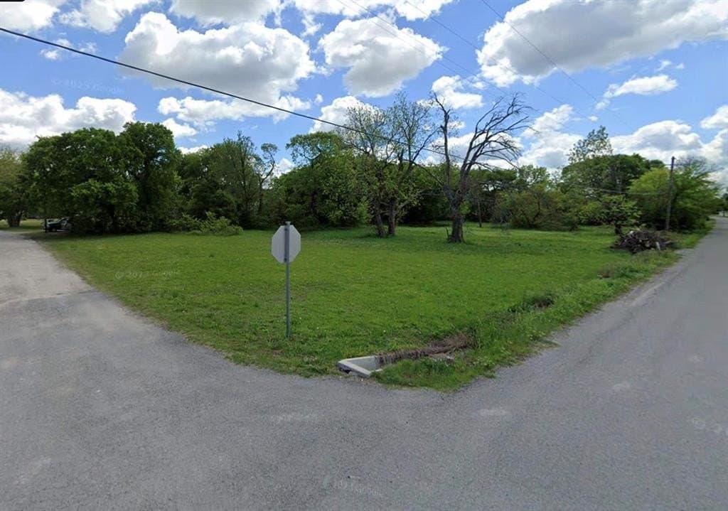 0.18 acres in Fannin County gallery image 2