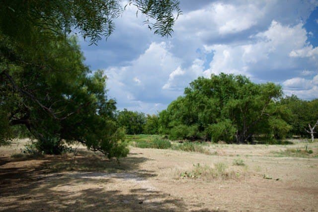 21 acres in Young County - photo 8