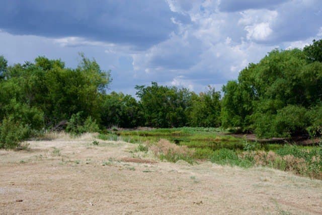 21 acres in Young County - photo 25