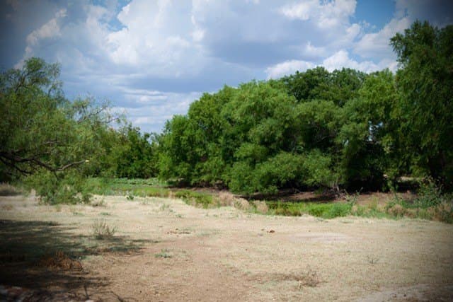 21 acres in Young County - photo 3