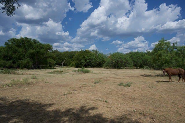 21 acres in Young County - photo 9