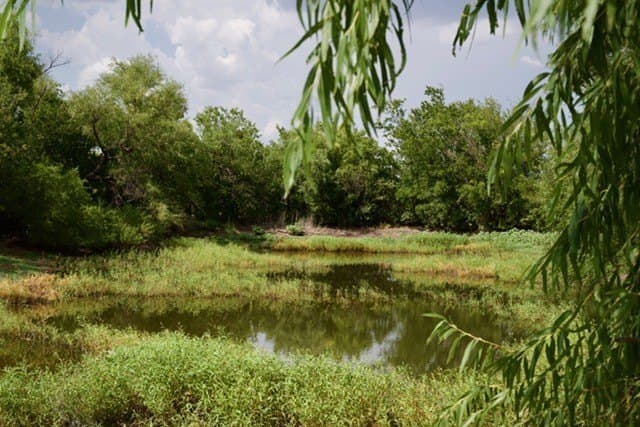 21 acres in Young County - photo 21