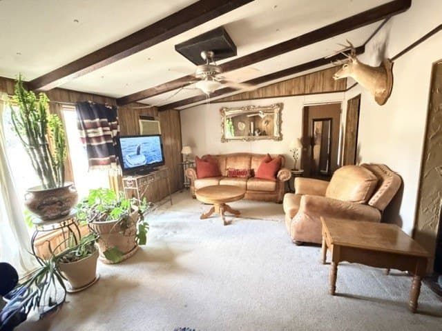 21 acres in Young County - photo 6