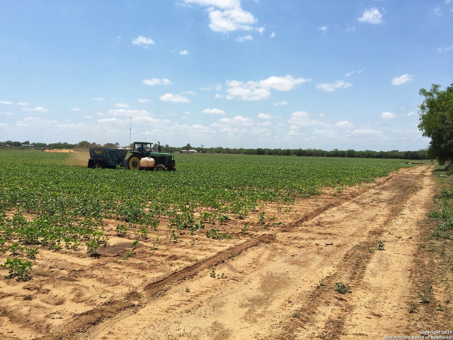 10.66 acres in Medina County - photo 13