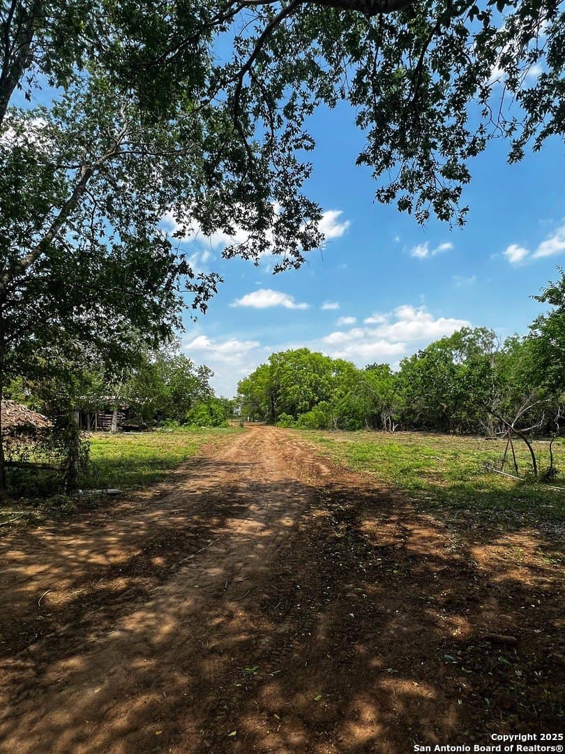 10.66 acres in Medina County - photo 7