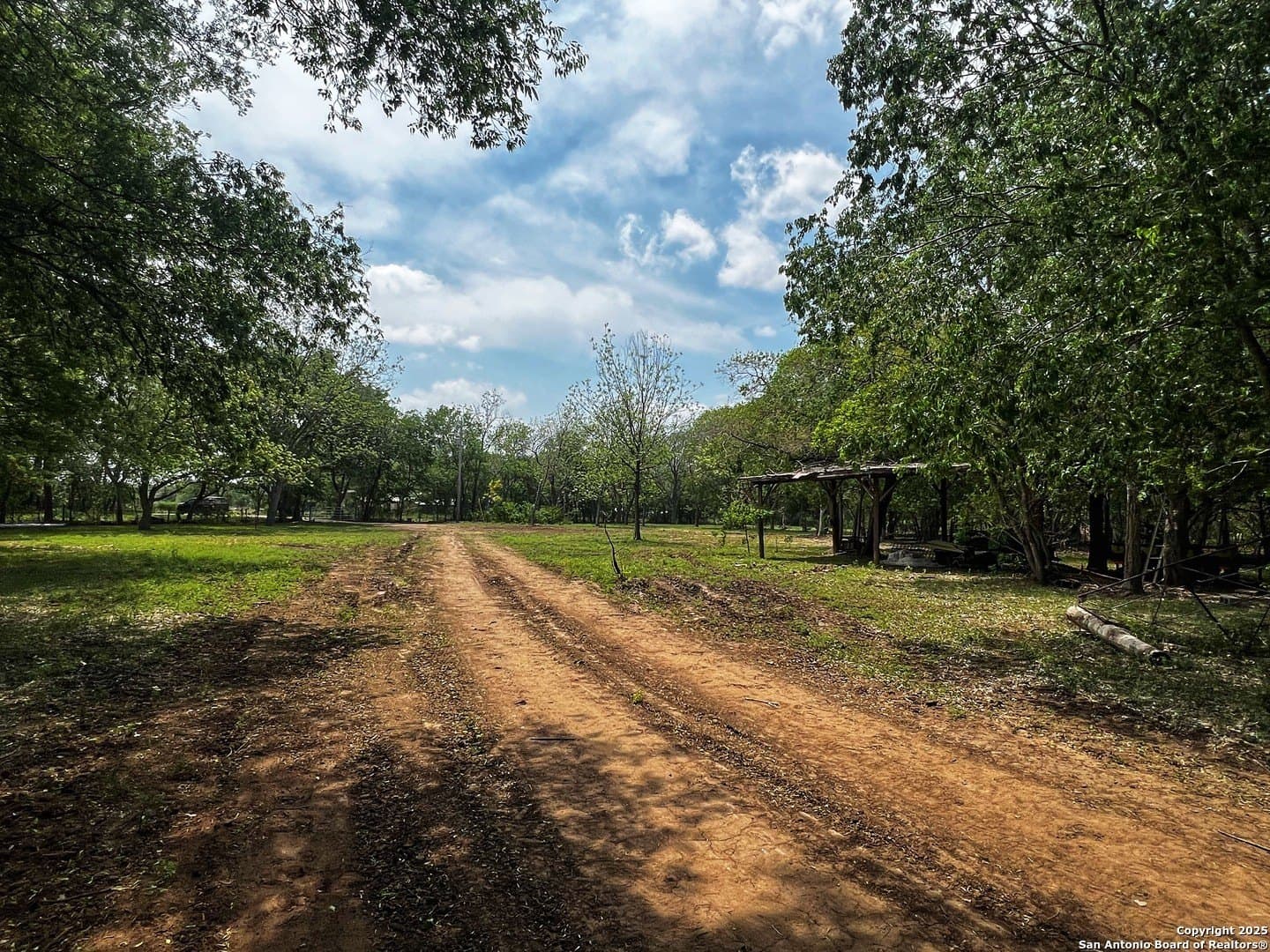 10.66 acres in Medina County - photo 8