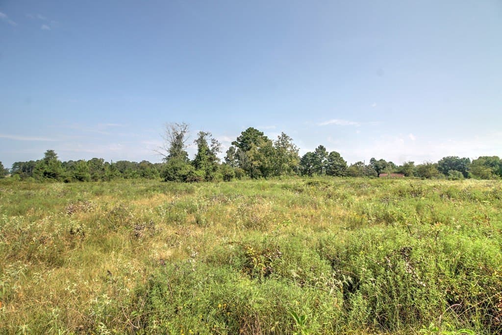 25 acres in Texas County - photo 10