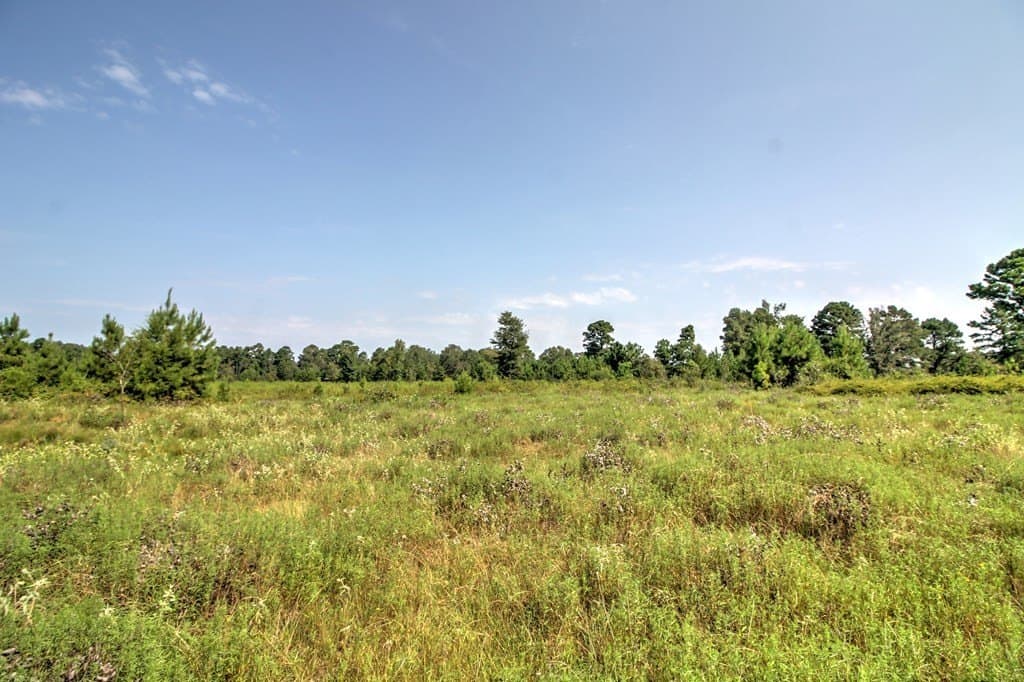 25 acres in Texas County - photo 8