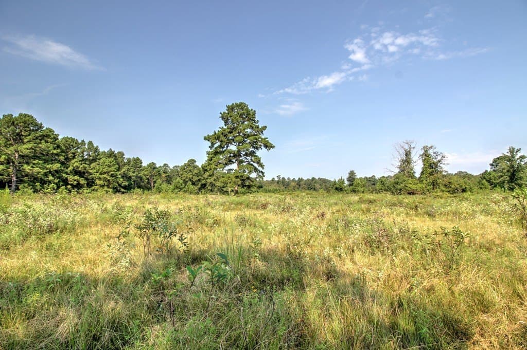 25 acres in Texas County - photo 7