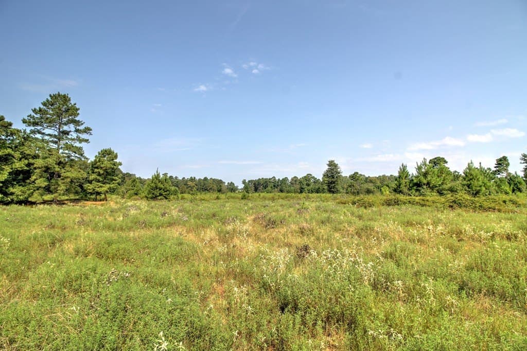 25 acres in Texas County - photo 9