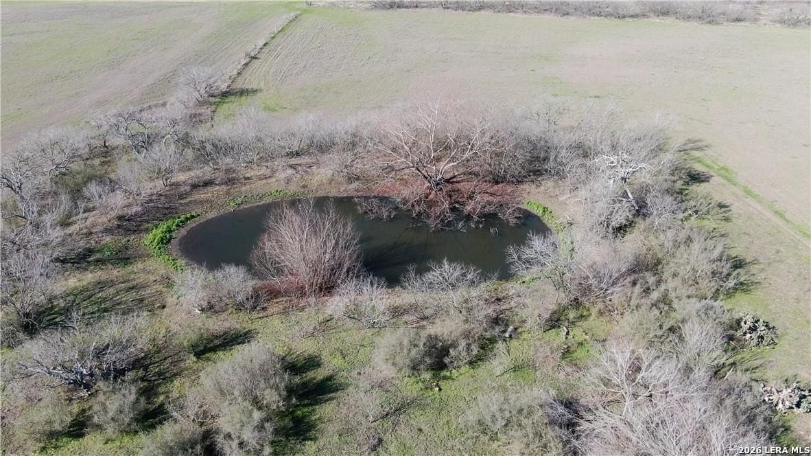 88 acres in Guadalupe County gallery image 3
