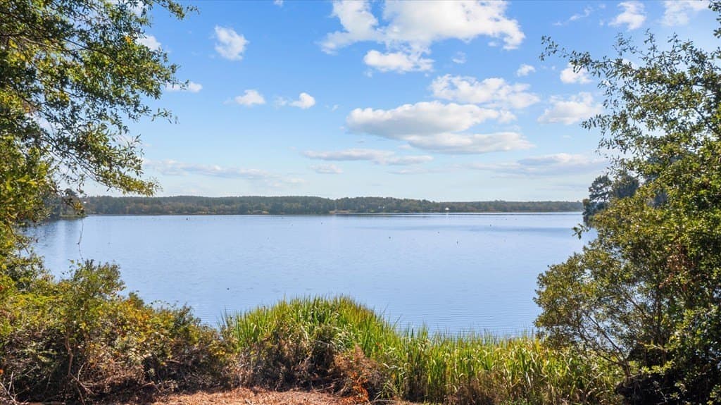 53.79 acres in Texas County - photo 9