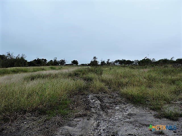 2 acres in DeWitt County - photo 2