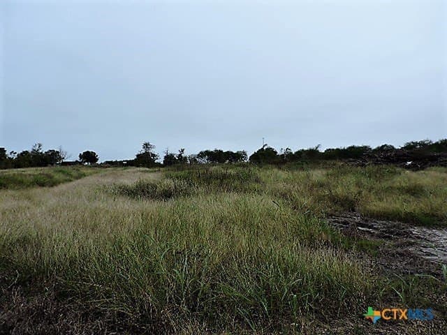 2 acres in DeWitt County - photo 3