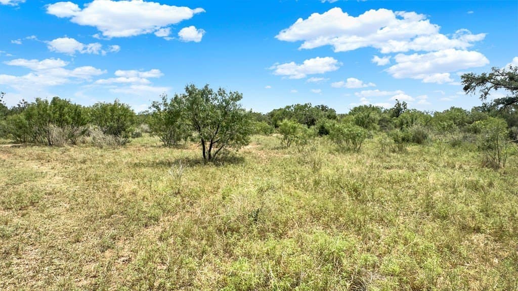 25.48 acres in Gillespie County gallery image 3