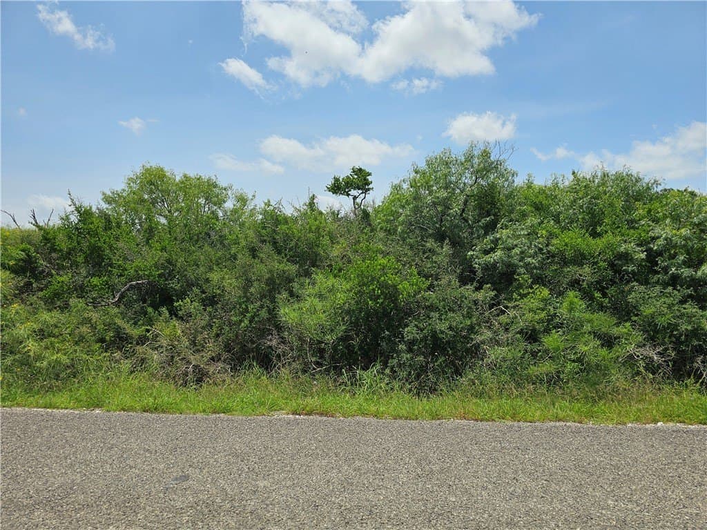 0.22 acres in Refugio County gallery image 3