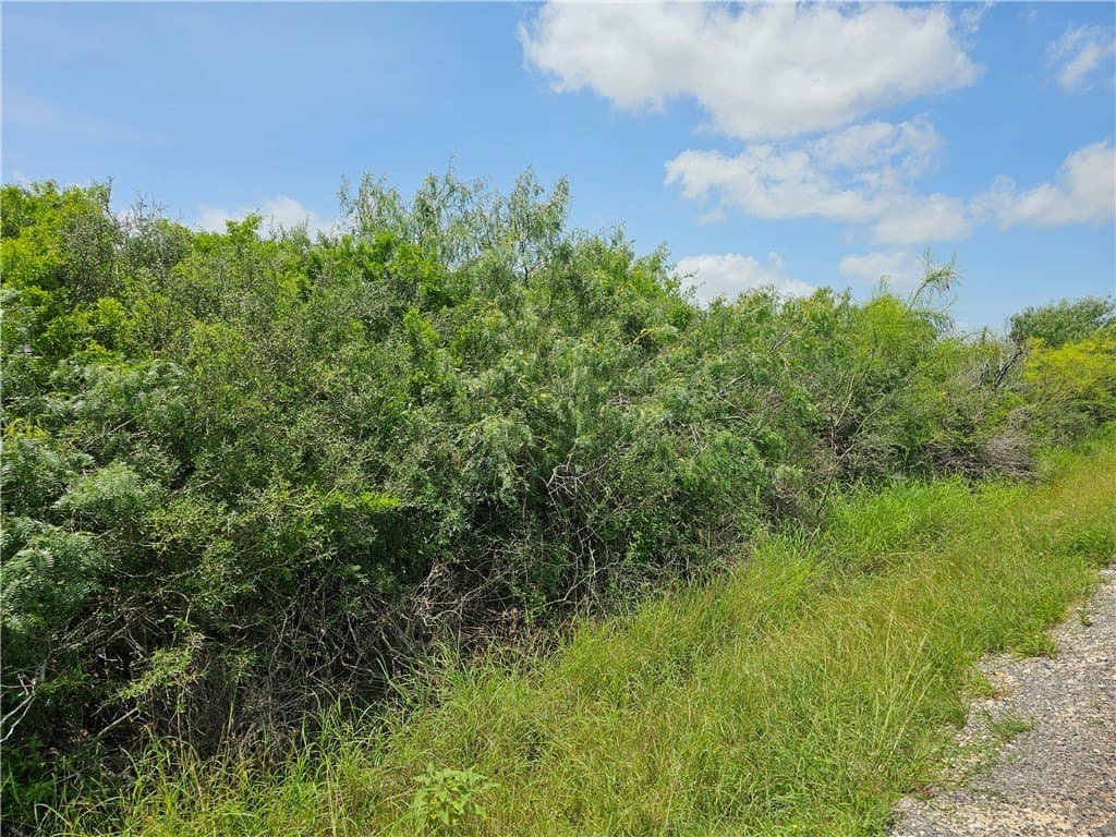 0.22 acres in Refugio County featured view