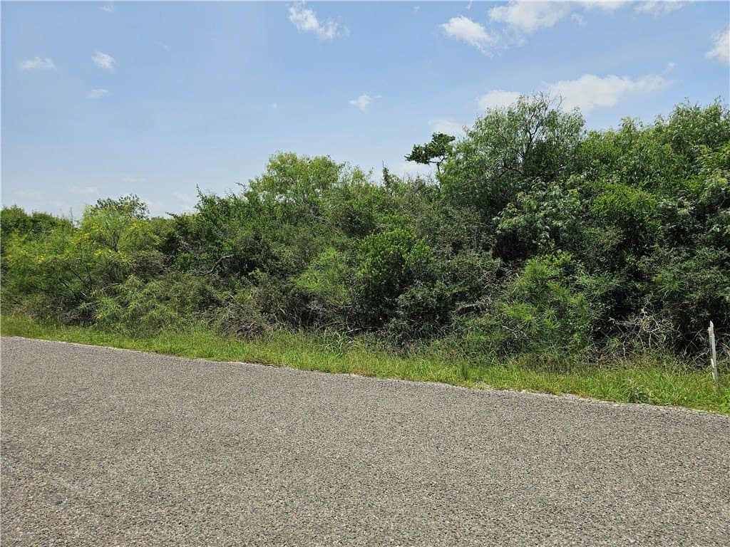 0.22 acres in Refugio County gallery image 2