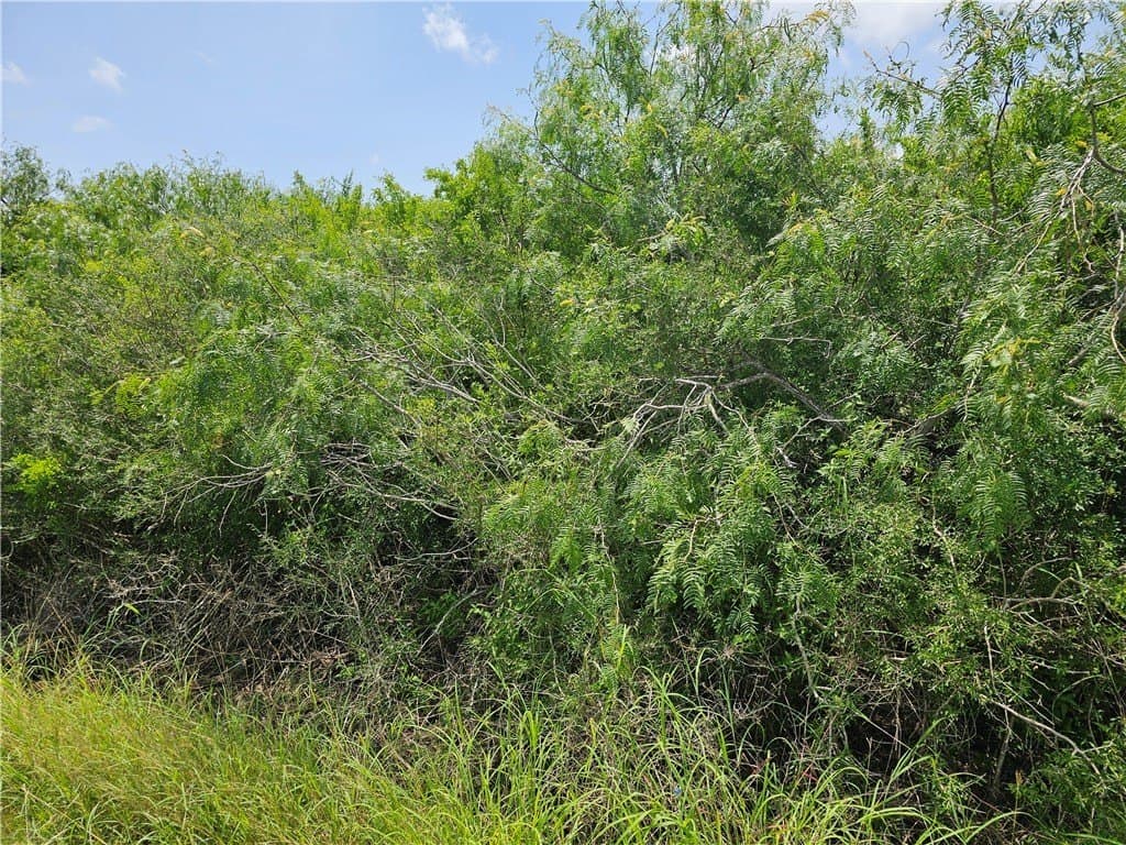 0.22 acres in Refugio County - photo 6