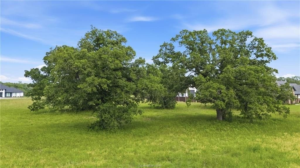 1.09 acres in Brazos County gallery image 4