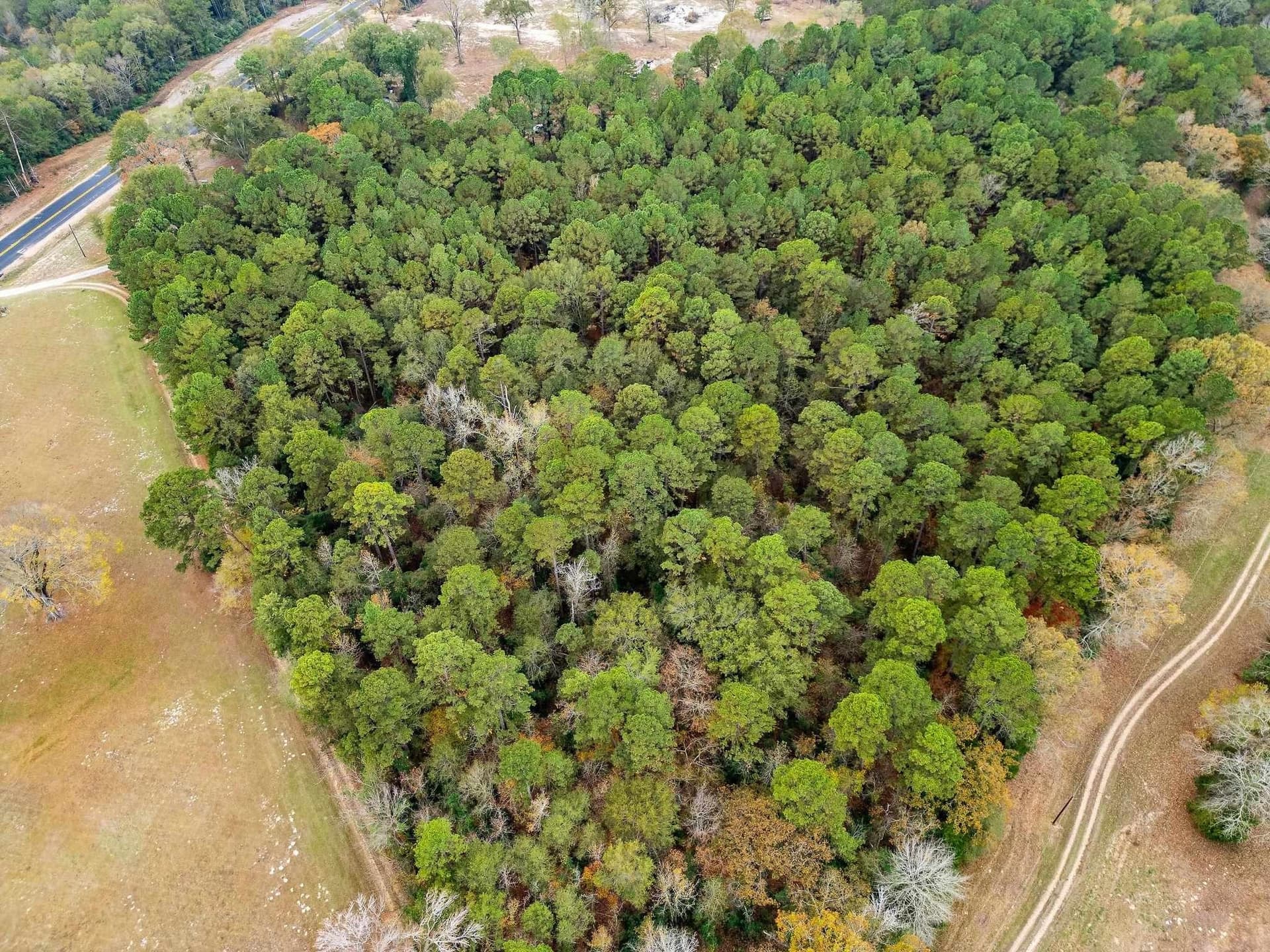 16.88 acres in Texas County gallery image 2