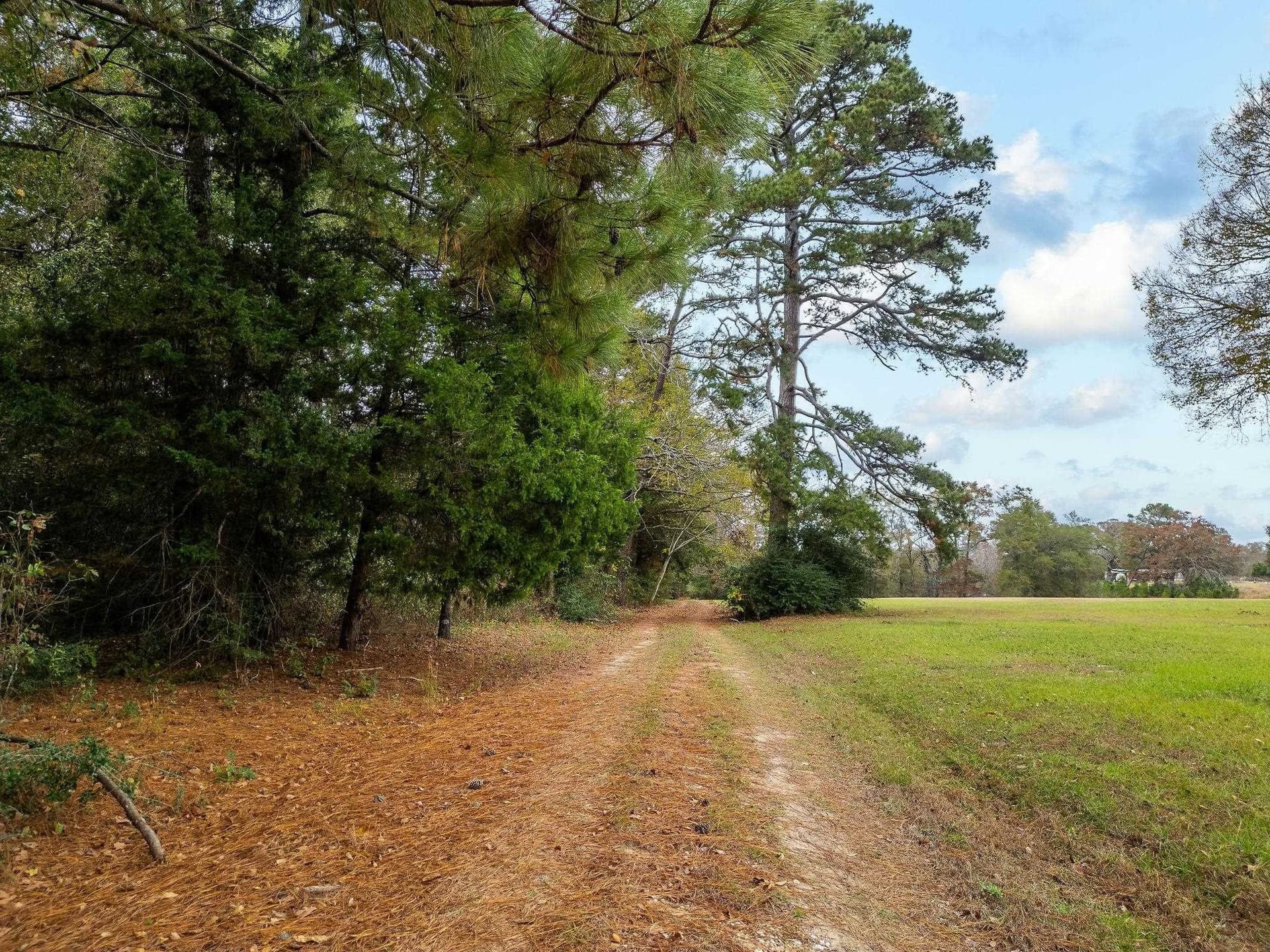 16.88 acres in Texas County featured view