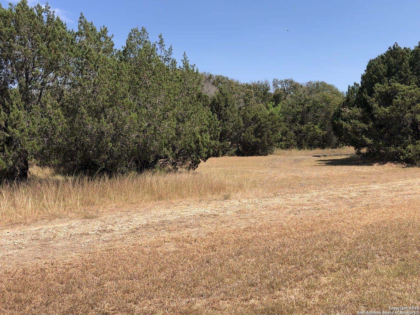 0.23 acres in Guadalupe County gallery image 2