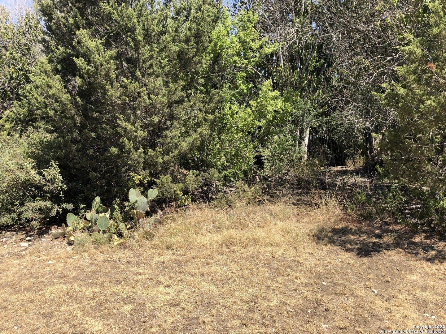 0.23 acres in Guadalupe County gallery image 4