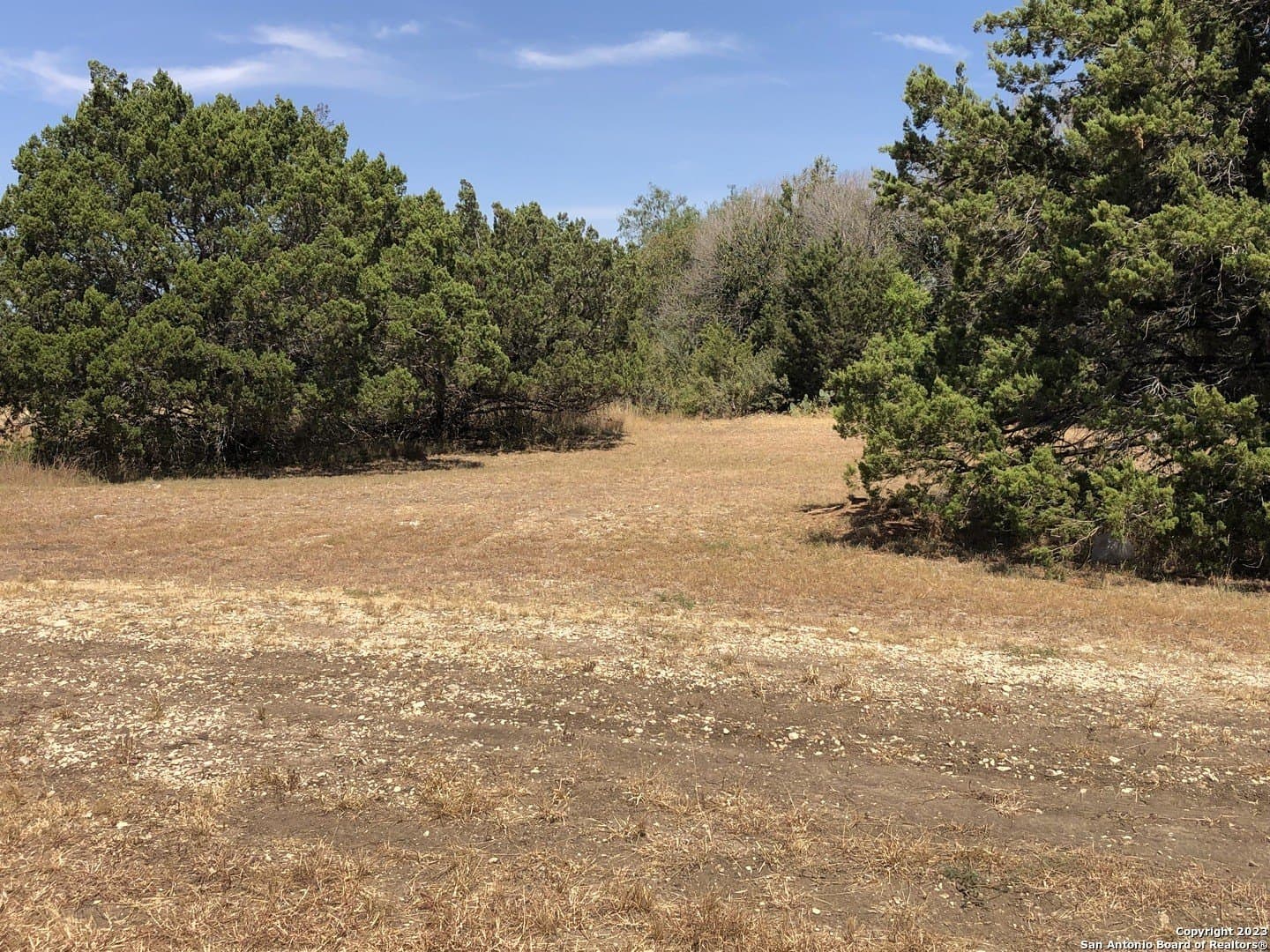 0.23 acres in Guadalupe County gallery image 3