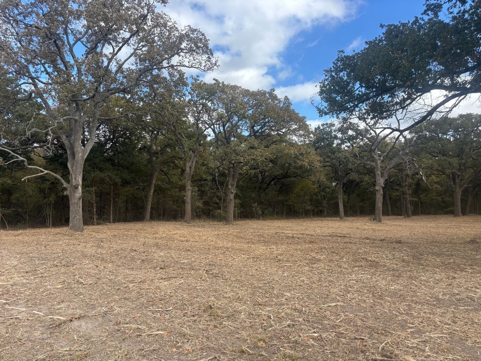 5.2 acres in Hunt County - photo 11